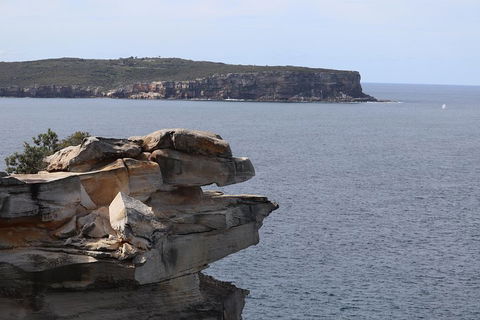Private Sydney City Customized Tour - Tourism Brisbane 3
