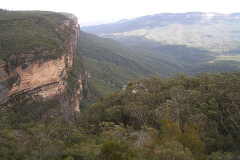 Full-Day Private Blue Mountains Tour With River Cruise - Tourism Brisbane 3