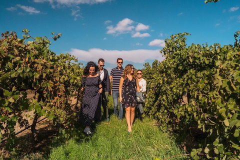 Barossa Valley Private Tour (from 2 To 11 People) - Tourism Brisbane 0