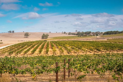 Barossa Valley Private Tour (from 2 To 11 People) - Tourism Brisbane 2