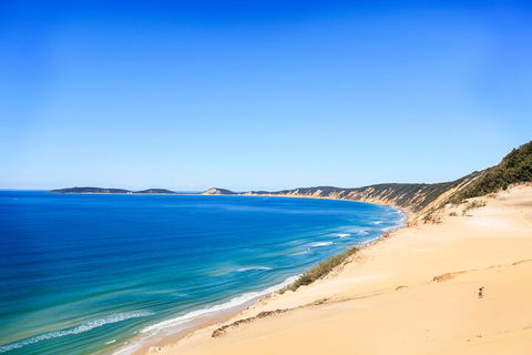 Kayak With Dolphins And 4WD Great Beach Drive Day Trip From Noosa - Tourism Brisbane 0