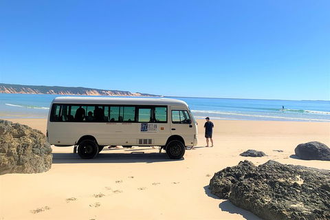 Kayak With Dolphins And 4WD Great Beach Drive Day Trip From Noosa - Tourism Brisbane 4