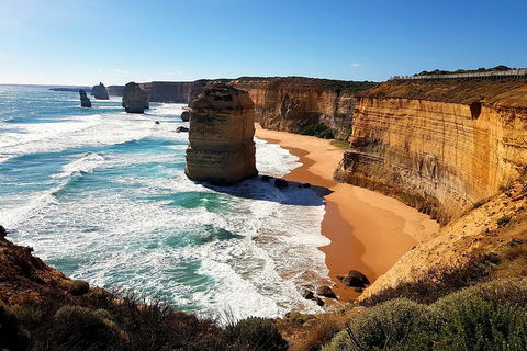 Helicopter Flight + Fine Dining Private Luxury Great Ocean Road Tour - Tourism Brisbane 4