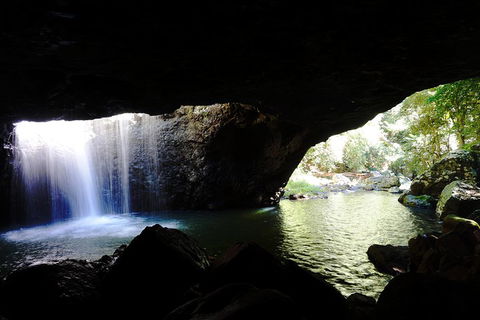 Rainforest & Waterfalls Extravaganza - Tourism Brisbane 0