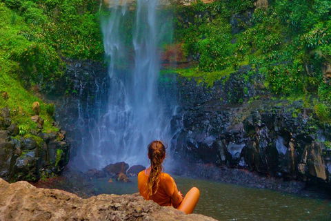 Rainforest & Waterfalls Extravaganza - Tourism Brisbane 2