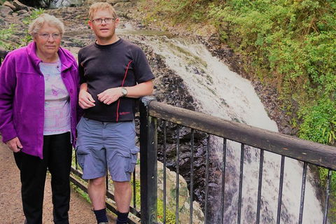 Natural Arch, Rainforest & Volcano Canyon - Private Half Day Tour - Tourism Brisbane 1