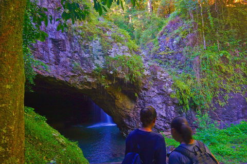 Natural Arch, Rainforest & Volcano Canyon - Private Half Day Tour - Tourism Brisbane 4