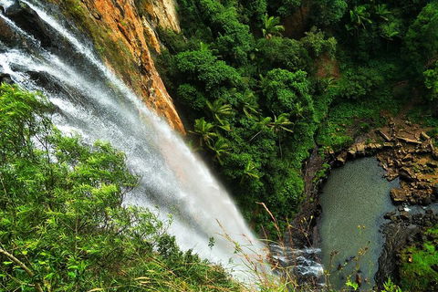 Natural Arch, Rainforest & Volcano Canyon - Private Half Day Tour - Tourism Brisbane 5