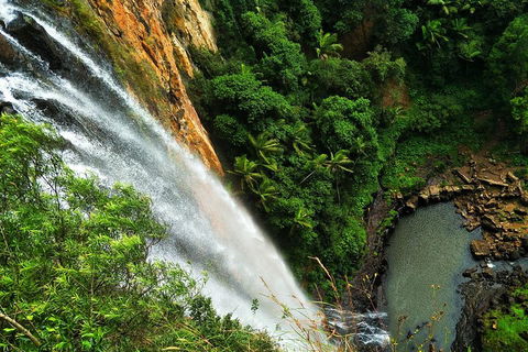 Private Tour - Rainforest & Waterfalls Extravaganza - Tourism Brisbane 2