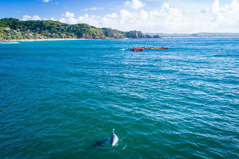 The Byron Bay Sea Kayak Tour - Tourism Brisbane 2
