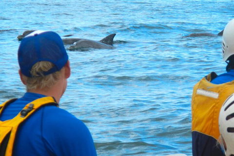 The Byron Bay Sea Kayak Tour - Tourism Brisbane 4