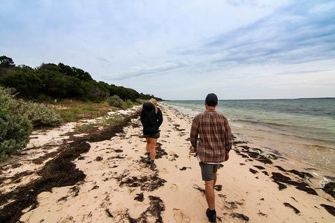 Phillip Island And French Island Wildlife Expedition - Tourism Brisbane 1