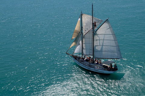 Whitehaven Beach Sailing And Snorkeling Cruise - Tourism Brisbane 1