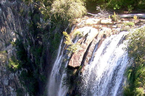 Byron Bay Combo: Hinterland Tour Including Minyon Falls And Kayaking With Dolphins - Tourism Brisbane 3