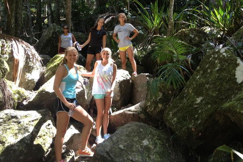 Byron Bay Combo: Hinterland Tour Including Minyon Falls And Kayaking With Dolphins - Tourism Brisbane 4