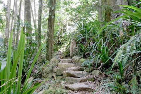 Byron Bay Combo: Hinterland Tour Including Minyon Falls And Kayaking With Dolphins - Tourism Brisbane 5