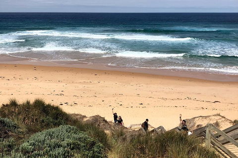 Phillip Island Penguins Private Tour - Tourism Brisbane 4
