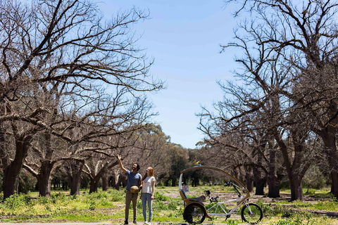 Adelaide 90-Minute Pedicab Tour: Scenic Green & River Experience - Tourism Brisbane 1