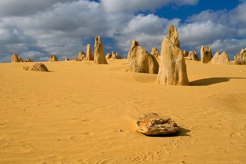 The Pinnacles, Sea And Dunescapes, Bush Reserve And Sunset Day Tour - Tourism Brisbane 0