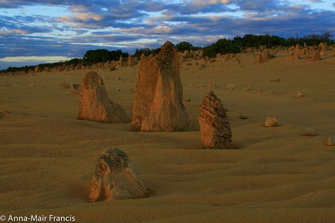 The Pinnacles, Sea And Dunescapes, Bush Reserve And Sunset Day Tour - Tourism Brisbane 1