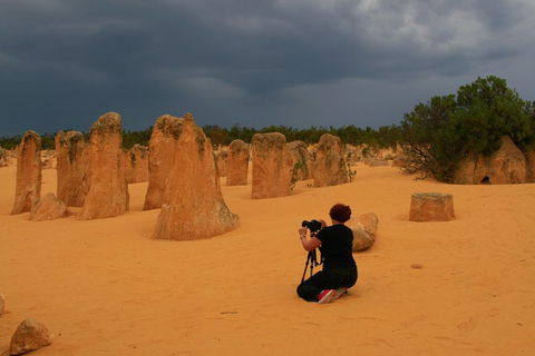 The Pinnacles, Sea And Dunescapes, Bush Reserve And Sunset Day Tour - Tourism Brisbane 2