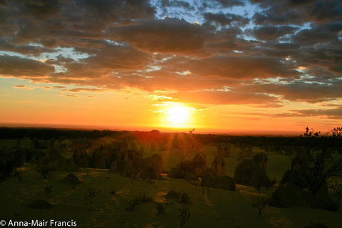 The Pinnacles, Sea And Dunescapes, Bush Reserve And Sunset Day Tour - Tourism Brisbane 3