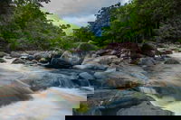 Cape Tribulation Day Tour, Cairns
