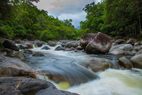 Cape Tribulation Day Tour - Tourism Brisbane 0