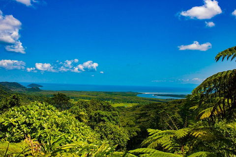 Cape Tribulation Day Tour - Tourism Brisbane 3