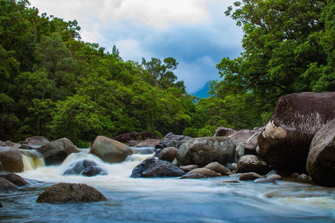 Cape Tribulation Day Tour - Tourism Brisbane 4