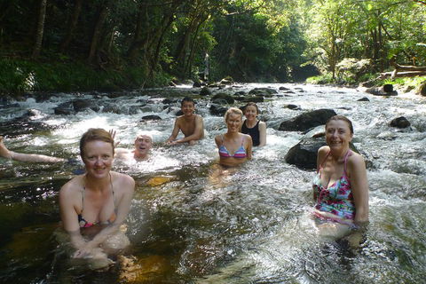Daintree Rainforest, Cape Tribulation, Mossman Gorge Small-Group Day Tour - Tourism Brisbane 0