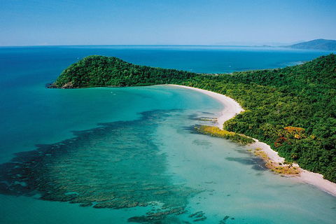 Daintree Rainforest, Cape Tribulation, Mossman Gorge Small-Group Day Tour - Tourism Brisbane 4