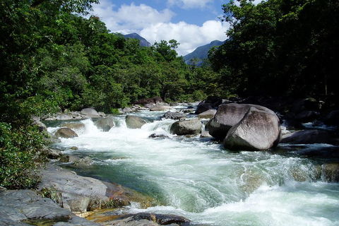 Daintree Rainforest, Cape Tribulation, Mossman Gorge Small-Group Day Tour - Tourism Brisbane 5
