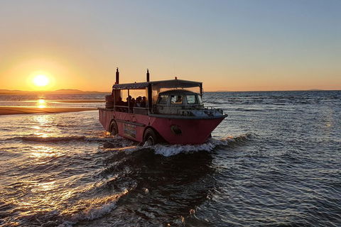 Town Of 1770 Afternoon Cruise - Tourism Brisbane 3