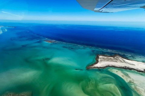 Wet Season Incredible Islands Tour - Horizontal Falls & Cygnet Bay Pearl Farm - Brisbane Tourism 4
