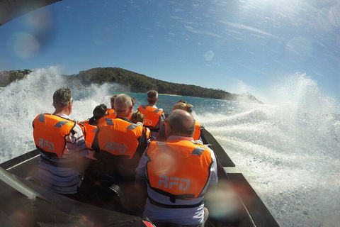 Noosa Thriller - 500hp Ocean Adventure Ride - Tourism Brisbane 3
