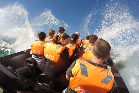 Noosa Thriller - 500hp Ocean Adventure Ride - Tourism Brisbane 4