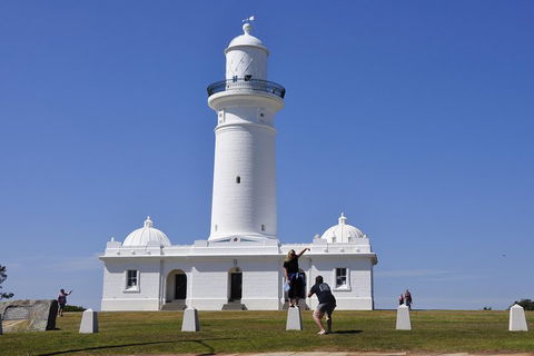 Sydney Sightseeing Bus Tours - Tourism Brisbane 5