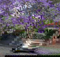 Sydney Secrets  Bondi Beach Private 4 Hr Morning with Personalised Sydney Tours - Tourism Brisbane
