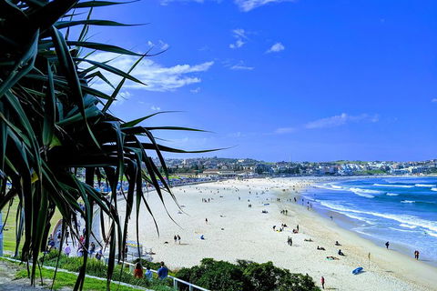 Sydney Secrets & Bondi Private 4 Hour Afternoon With 'Personalised Sydney Tours' - Tourism Brisbane 0