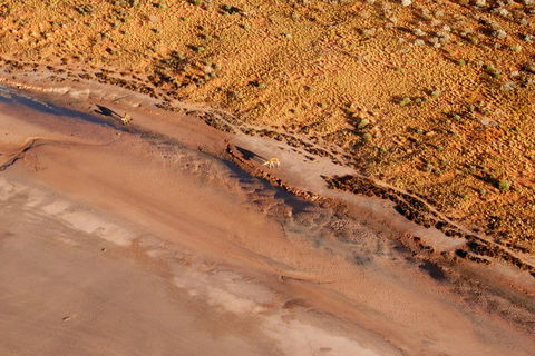 Scenic Flight: Lizard Safari - Tourism Brisbane 0