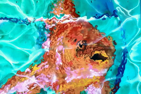 Discover Brisbane - South Bank - Brisbane Tourism 4