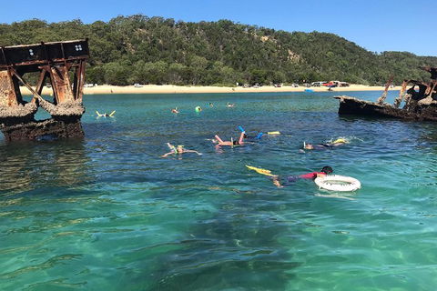 All Inclusive Dolphin And Tangalooma Wrecks Cruise - Tourism Brisbane 0