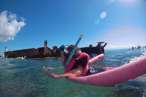 All Inclusive Dolphin And Tangalooma Wrecks Cruise - Tourism Brisbane 2