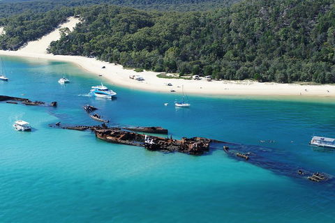 All Inclusive Dolphin And Tangalooma Wrecks Cruise - Tourism Brisbane 4