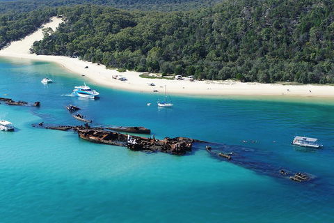 All Inclusive Tangalooma Wrecks Cruise Tour From Gold Coast - Tourism Brisbane 0