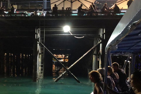 Darwin Sunset Cruise Including Fish 'n' Chips - Brisbane Tourism 0