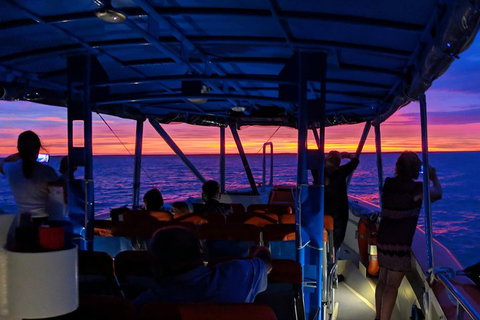Darwin Sunset Cruise Including Fish 'n' Chips - Brisbane Tourism 1