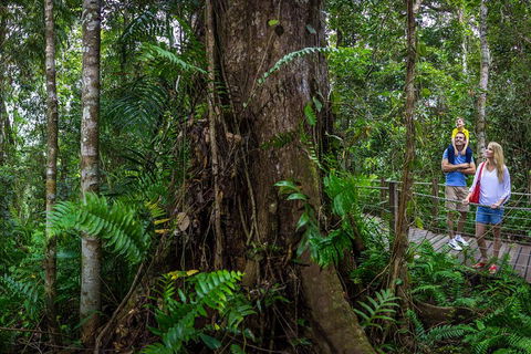 Kuranda Day Tour + HotAir Balloon Combo - Tourism Brisbane 3