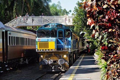 Kuranda Day Tour + HotAir Balloon Combo - Tourism Brisbane 4